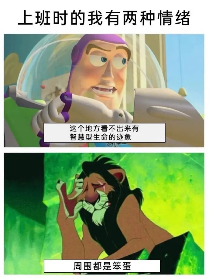 每日meme