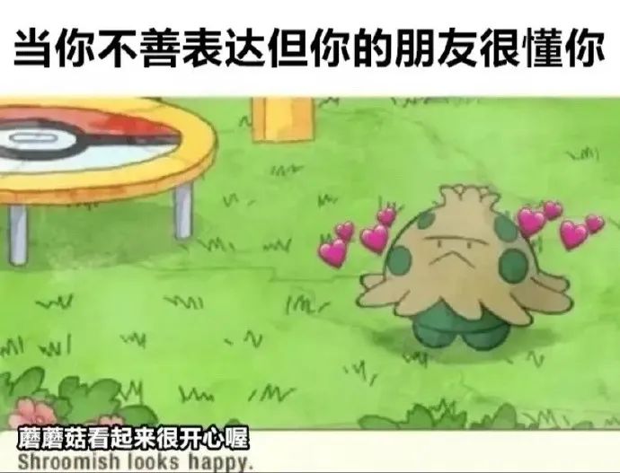 每日meme
