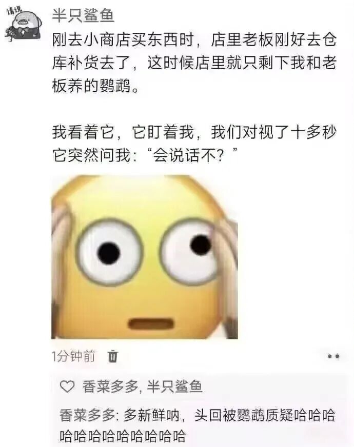 每日meme