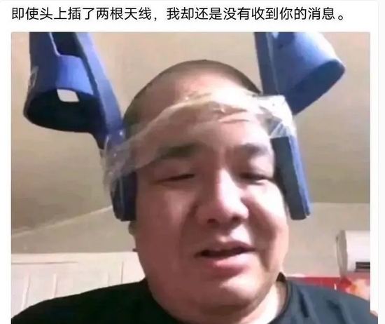 每日meme