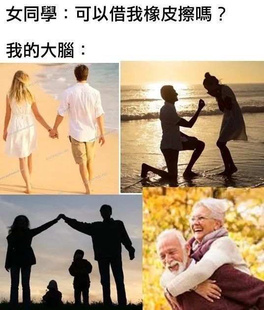每日meme
