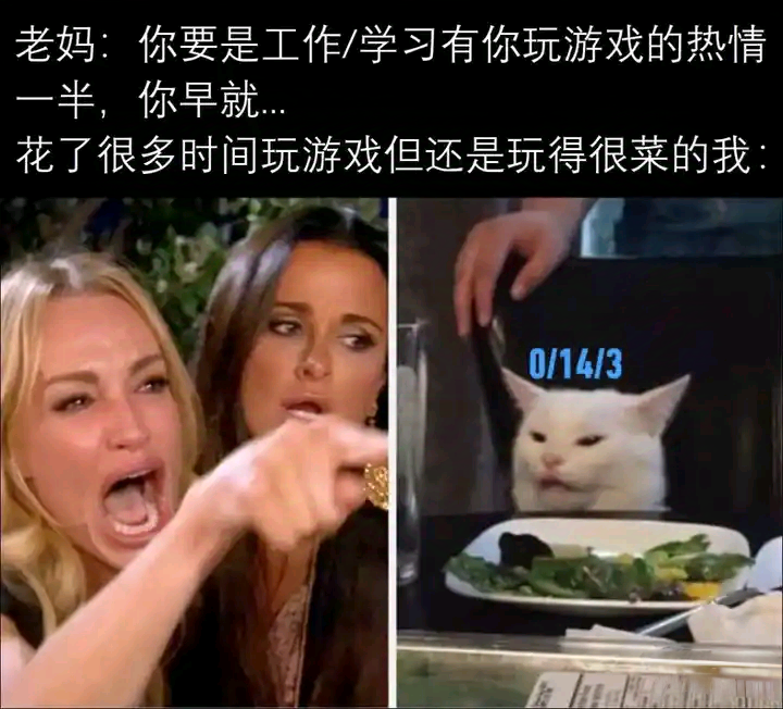 每日meme