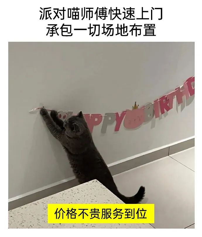 每日meme