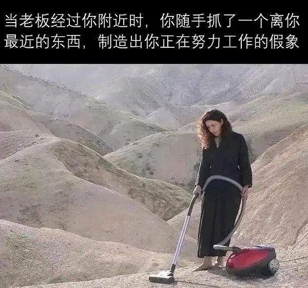 每日meme
