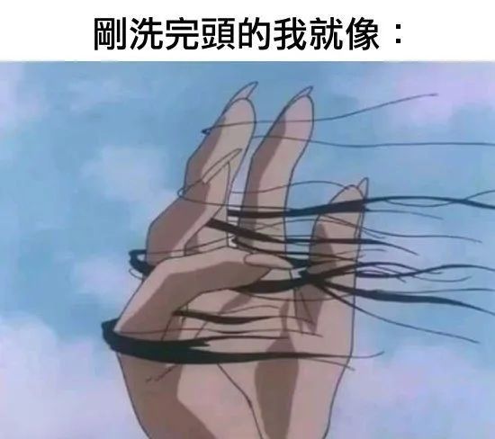 每日meme