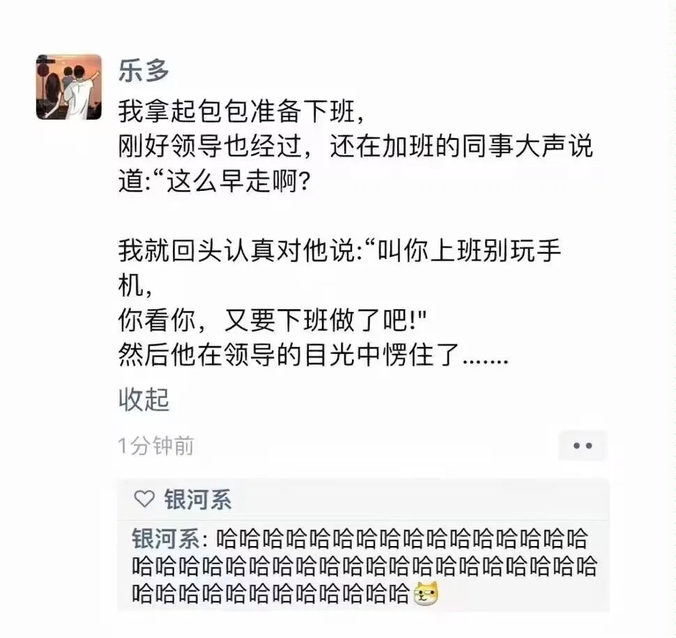每日meme