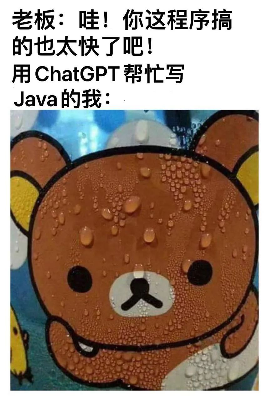 每日meme