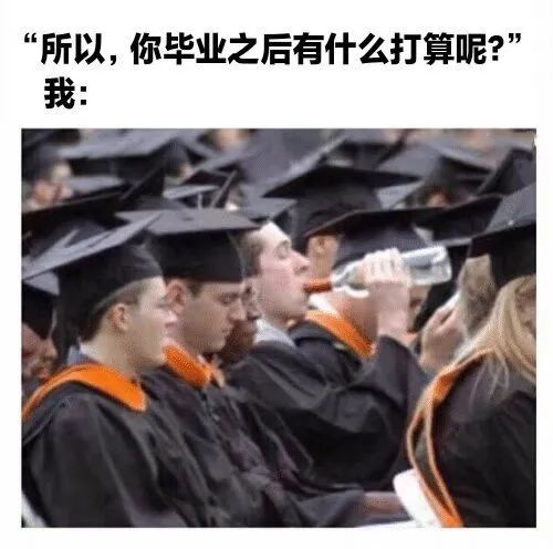 每日meme