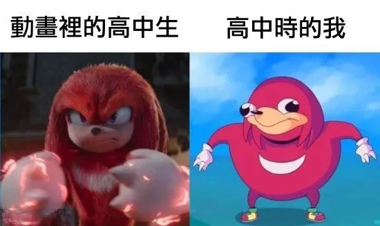 每日meme