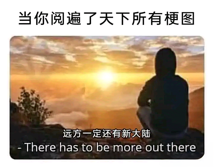 每日meme