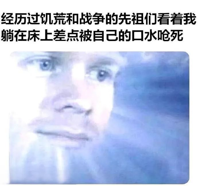 每日meme