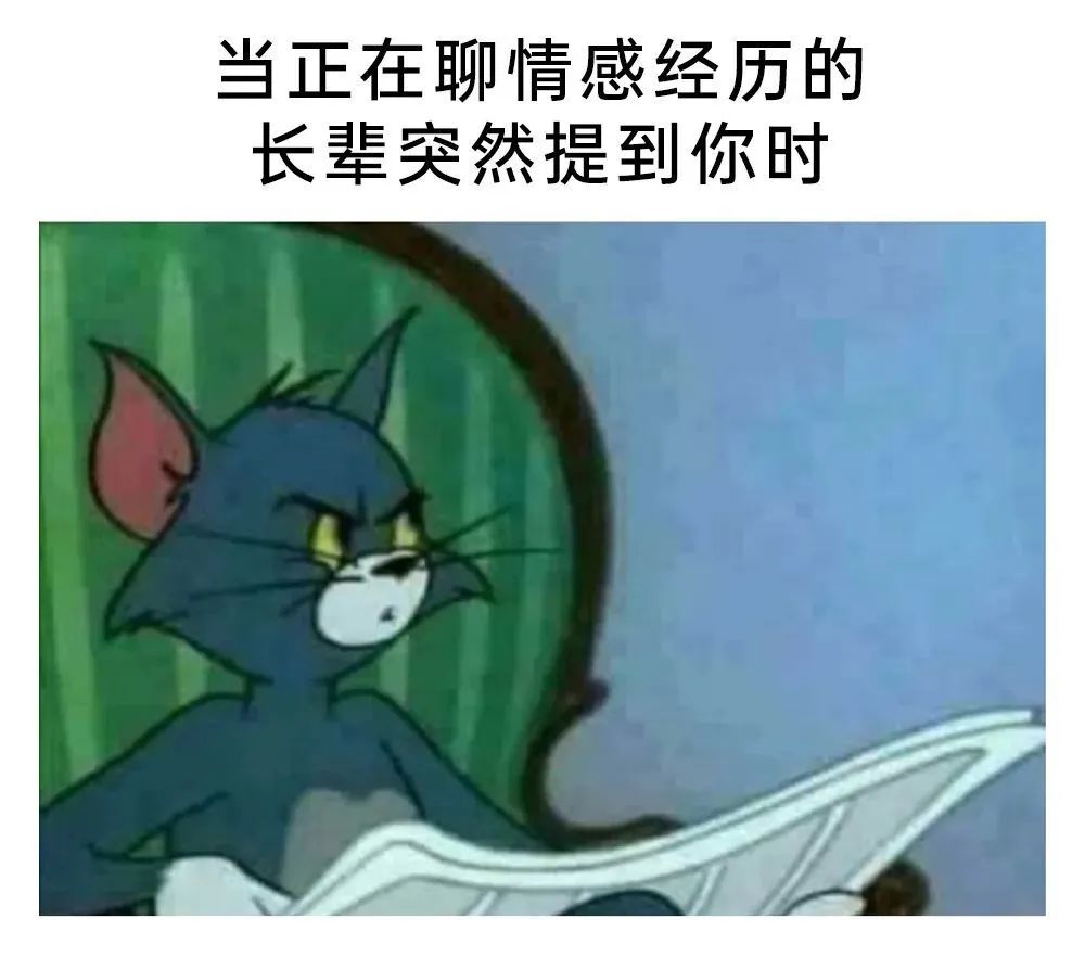 每日meme