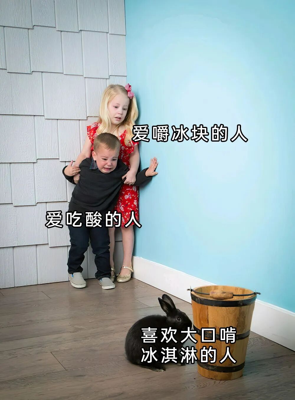 每日meme