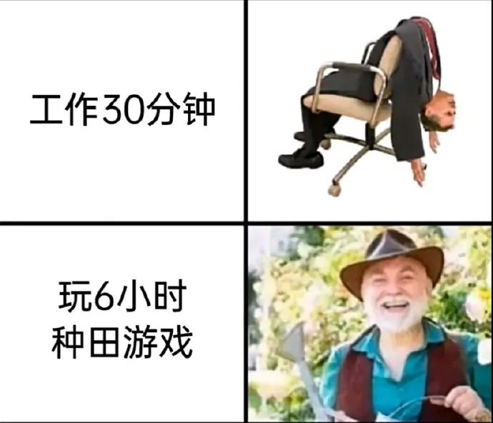 每日meme
