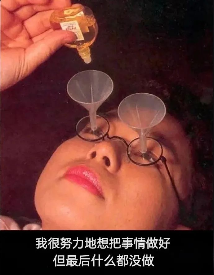 每日meme