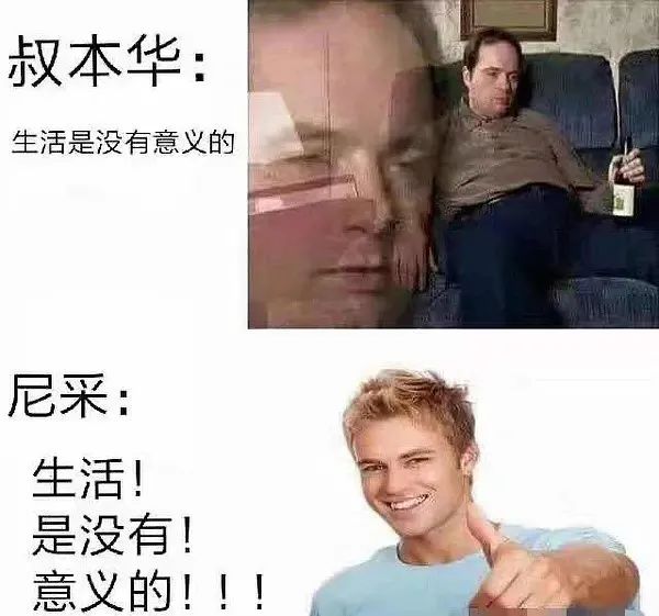 每日meme