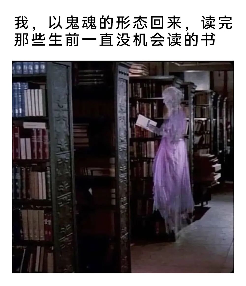 每日meme