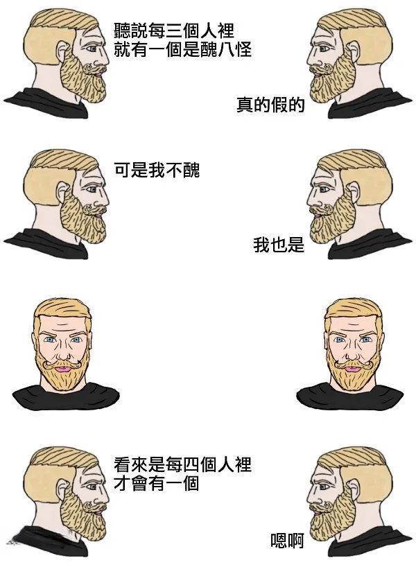 每日meme