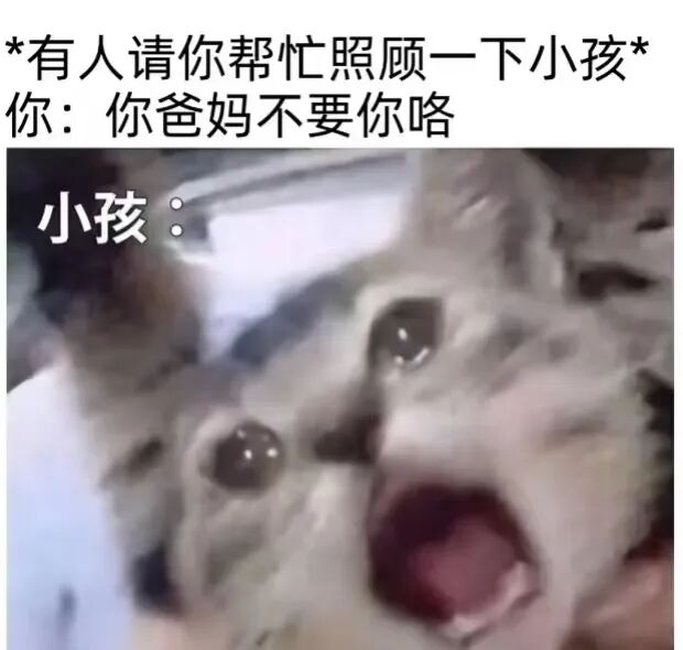 每日meme