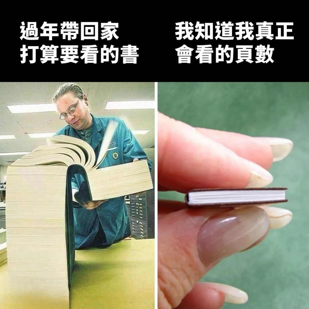 每日meme