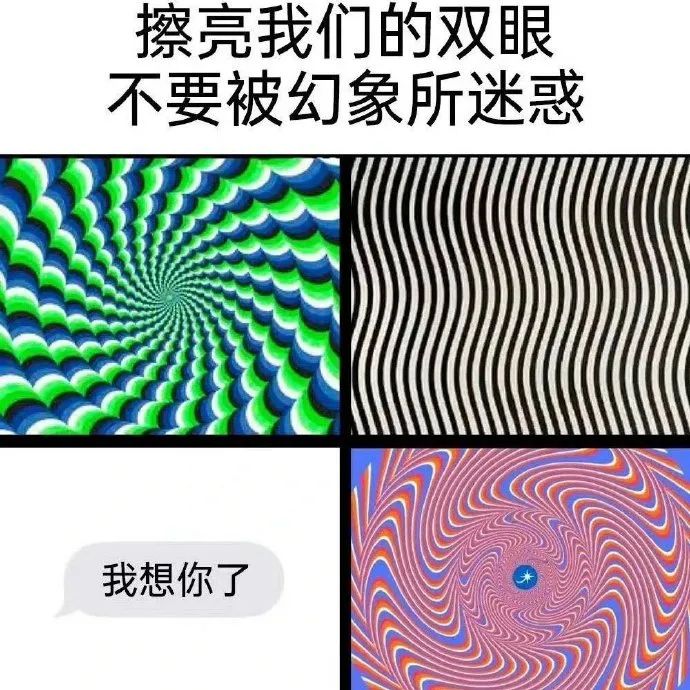每日meme