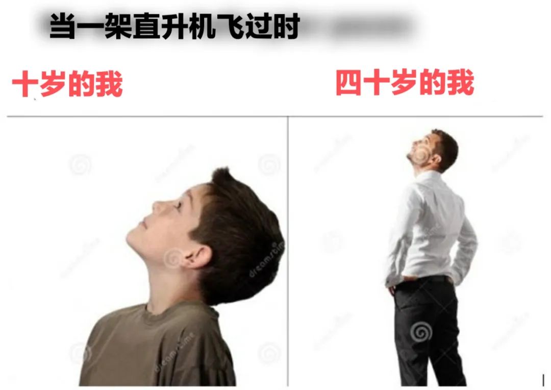 每日meme
