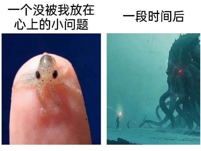 每日meme