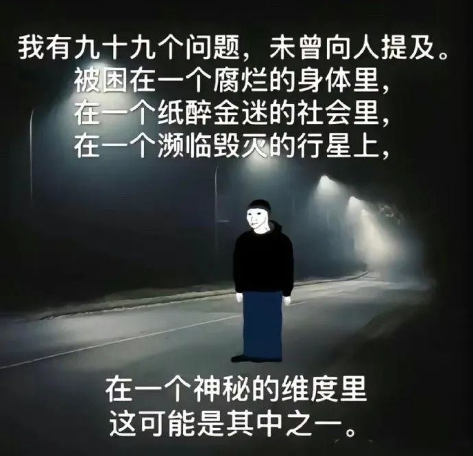 每日meme
