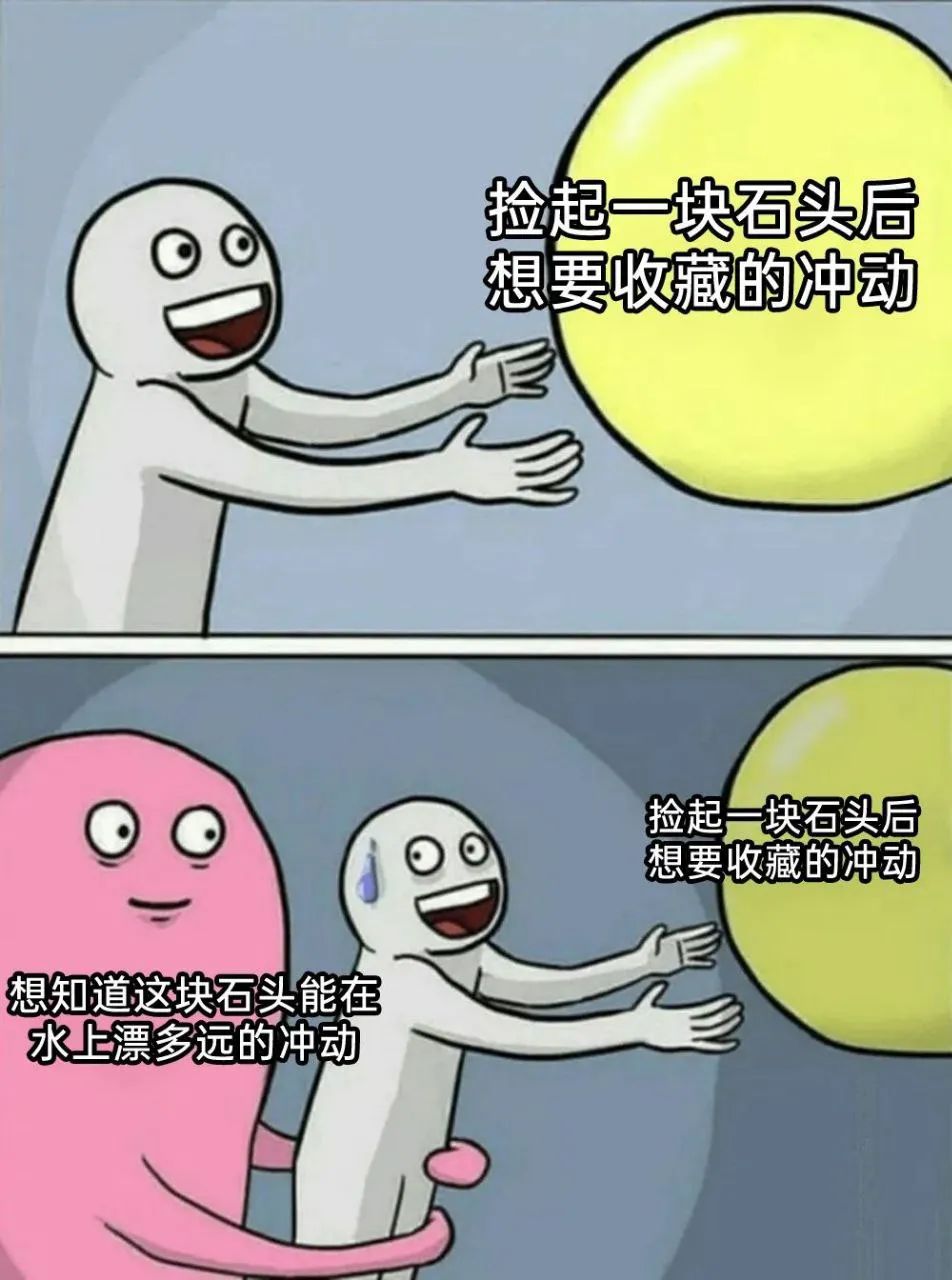 每日meme