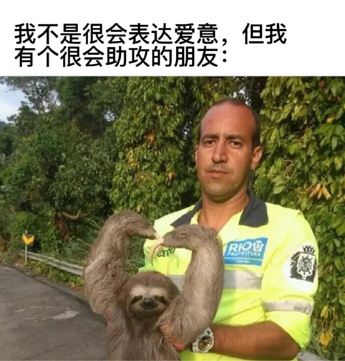 每日meme