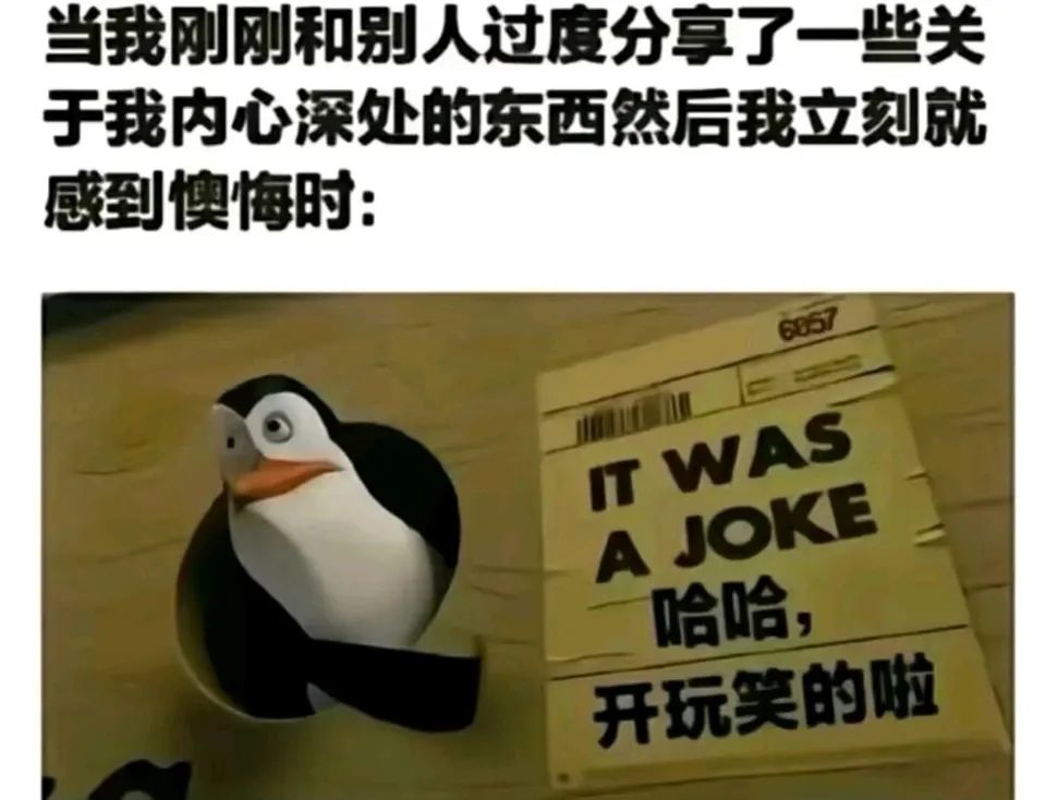 每日meme