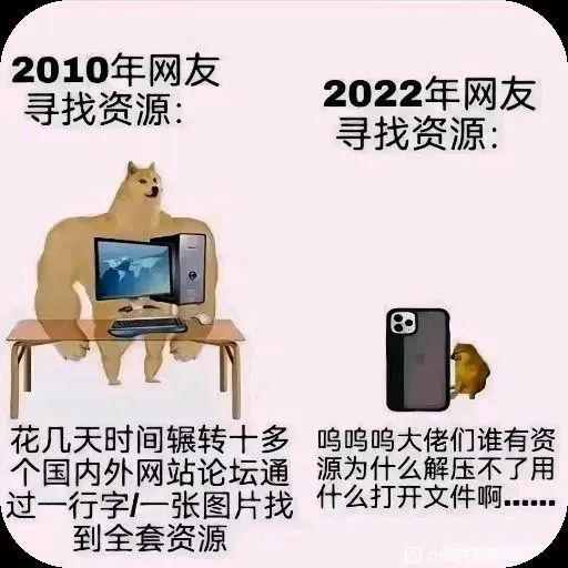 每日meme