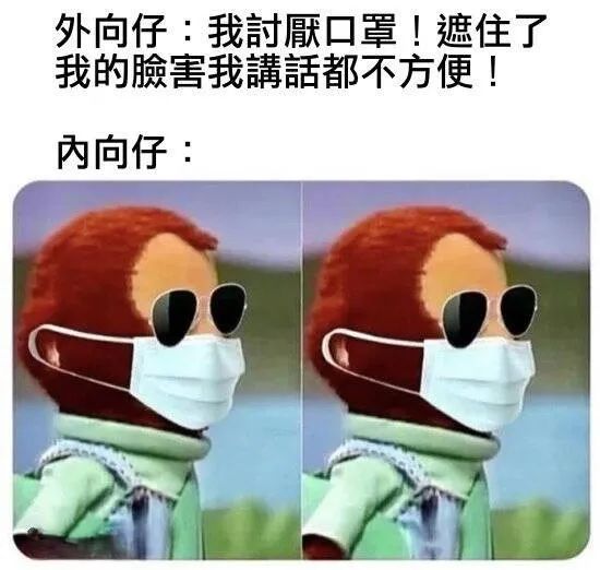 每日meme