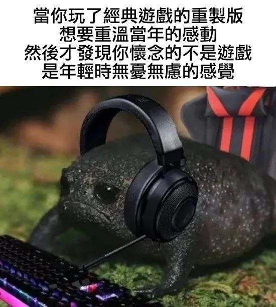 每日meme