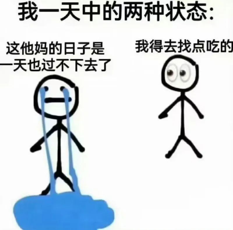 每日meme