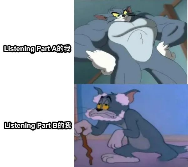 每日meme