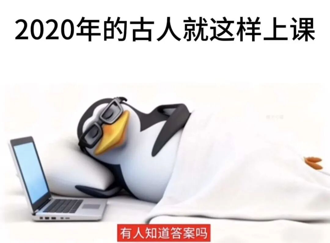 每日meme