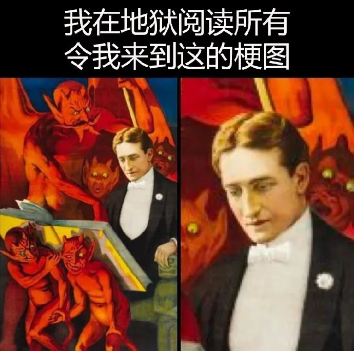 每日meme