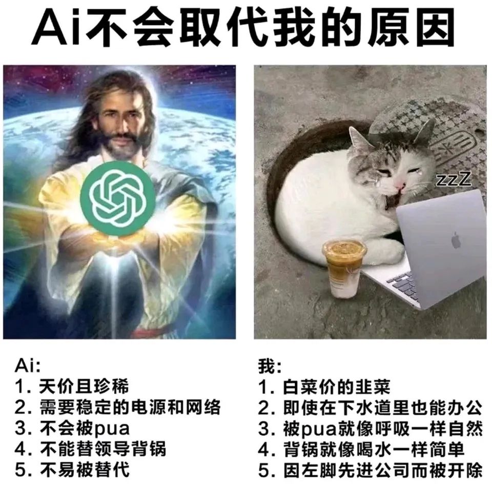 每日meme