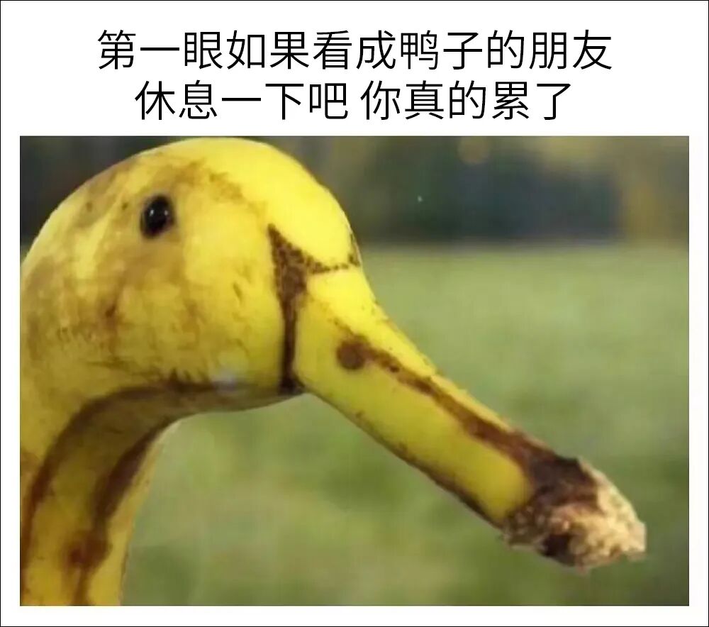 每日meme