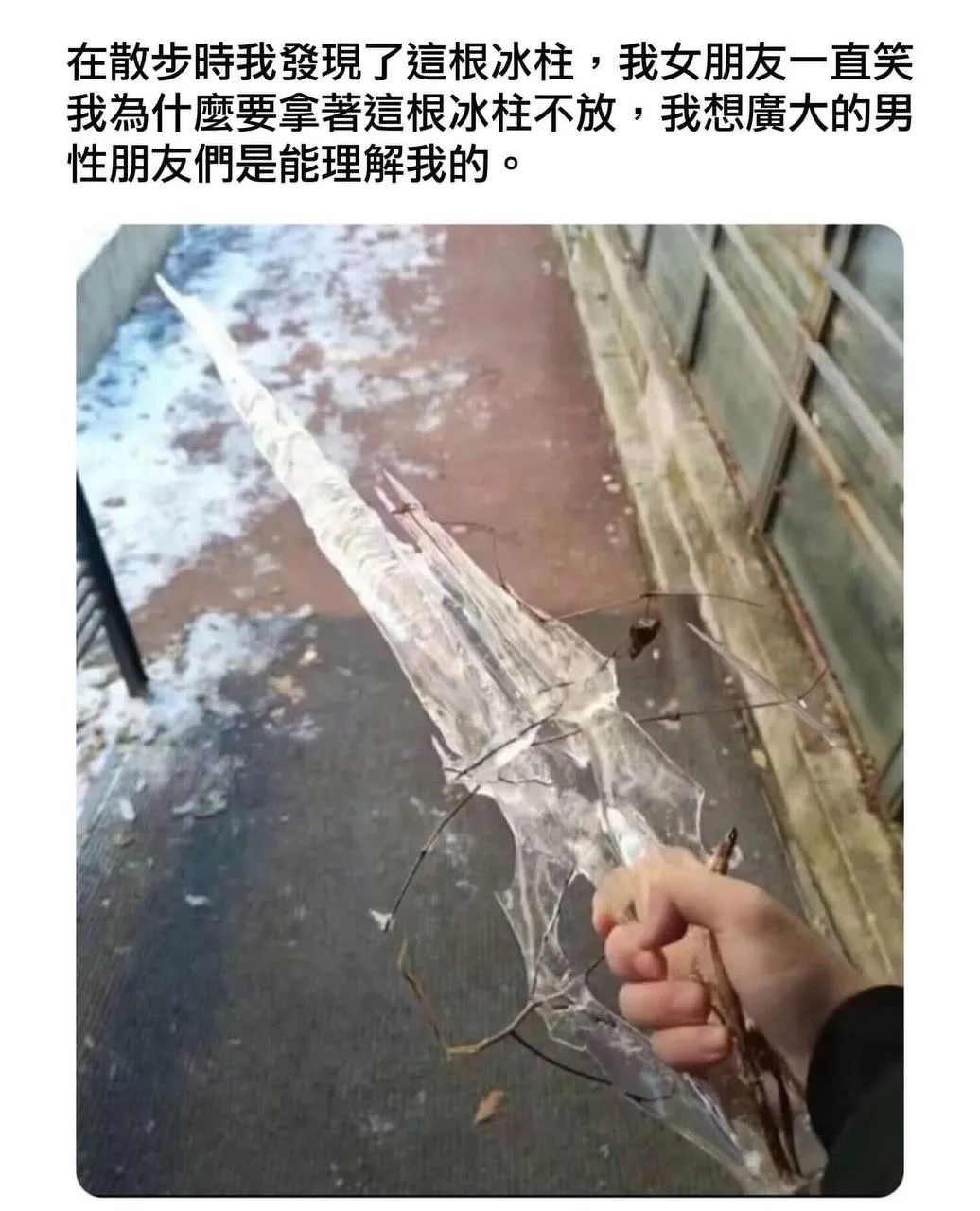 每日meme