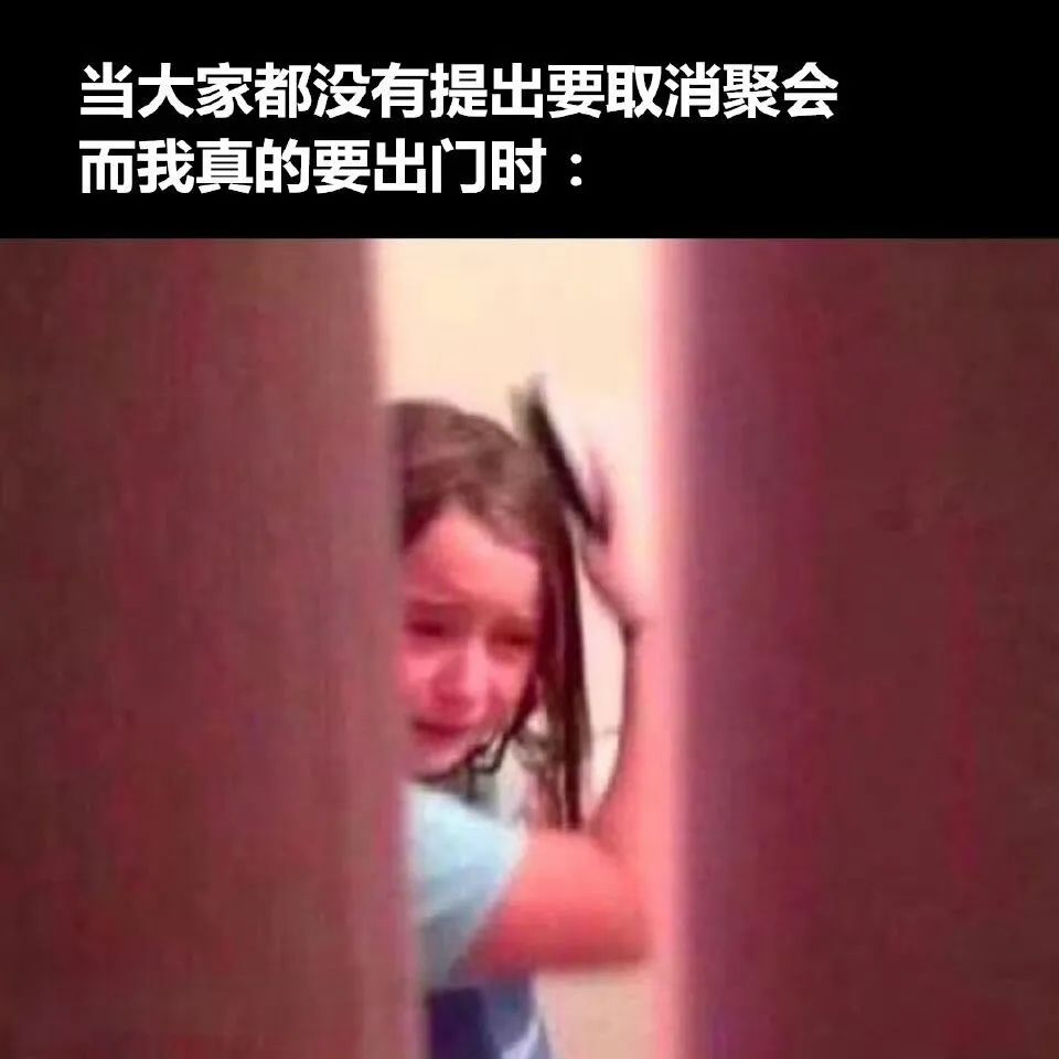 每日meme