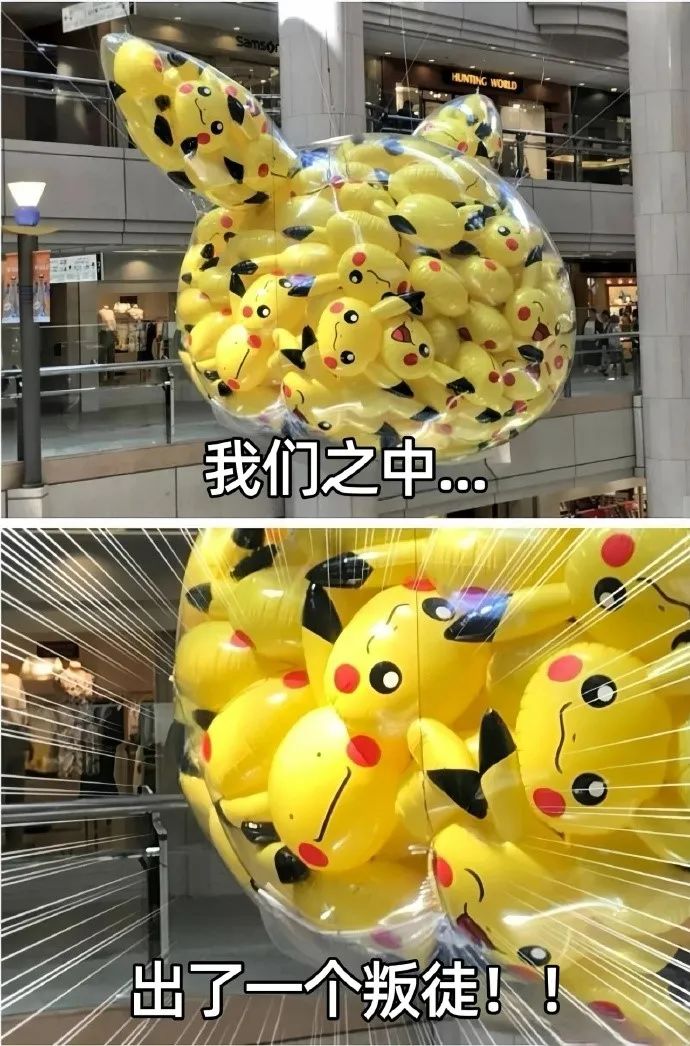 每日meme