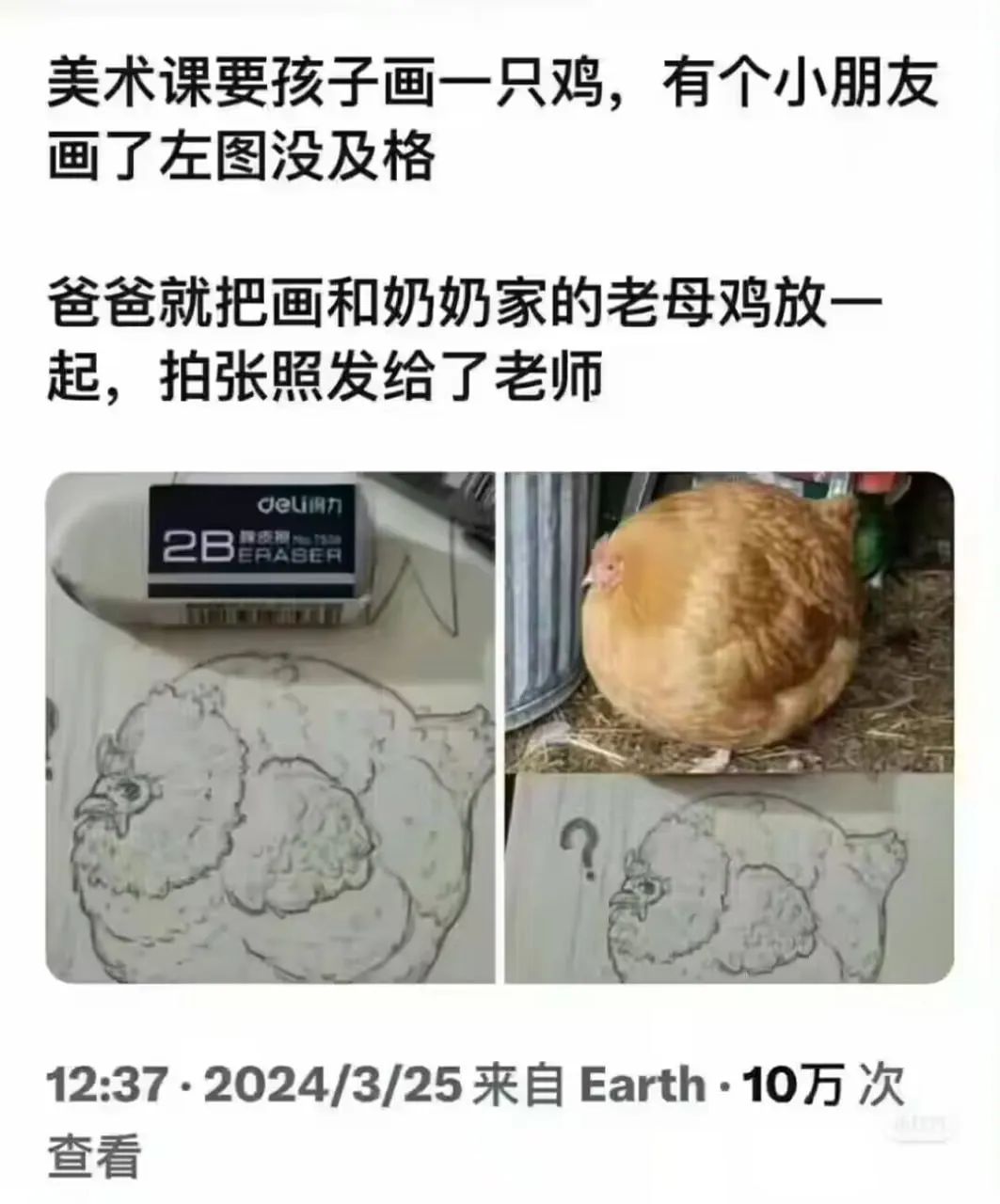 每日meme