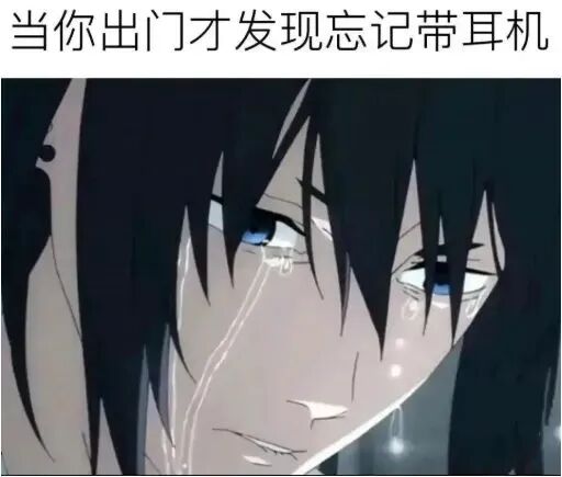 每日meme