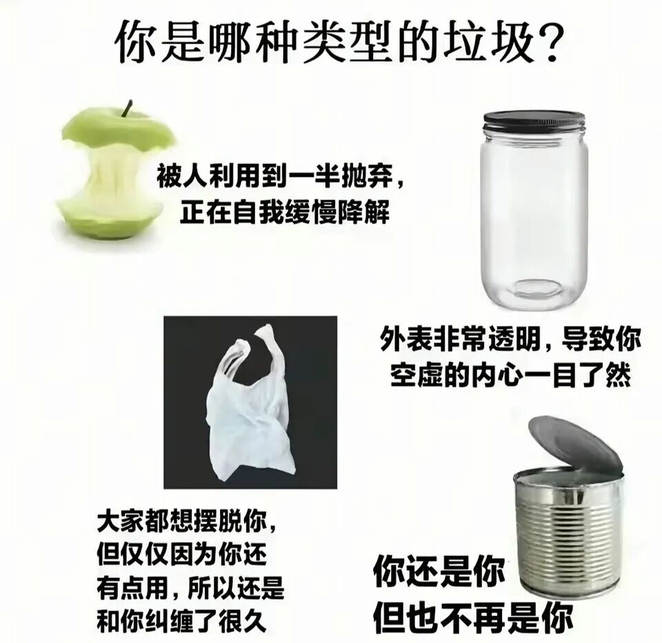 每日meme