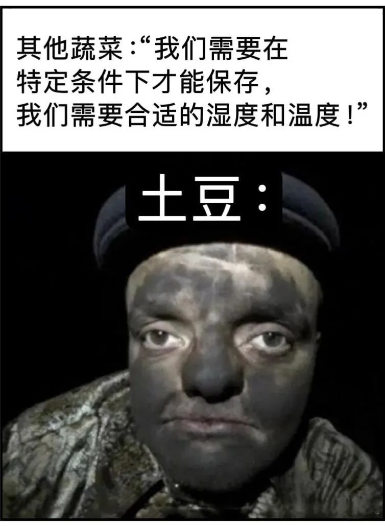 每日meme