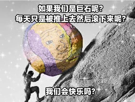 每日meme