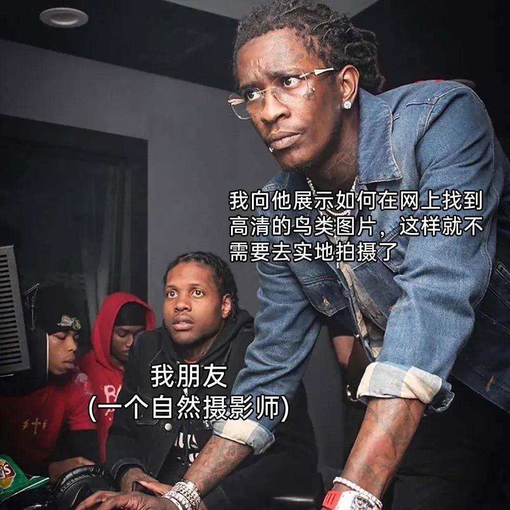 每日meme
