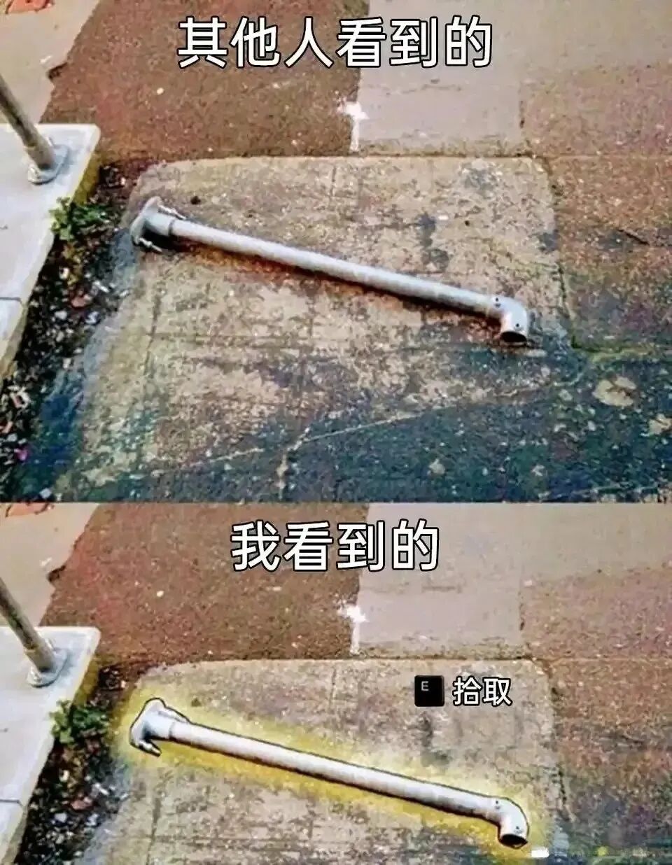 每日meme